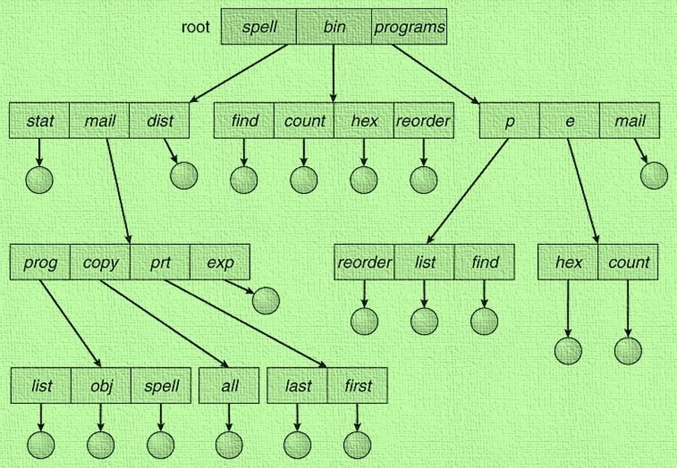 Tree Directory Structure (Hierarchical Directory Structure) in Operating Systems